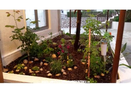 Appartement ANTON foto 3