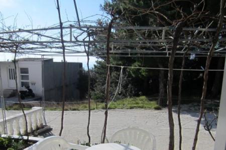 Appartementen Paula i Ante foto 5