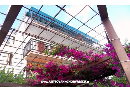 Villa Borovina foto 4