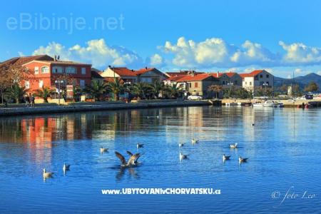 Appartementen Filip foto 3