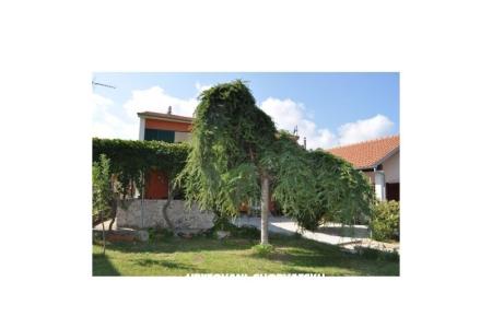 Appartement Smilja     foto 5