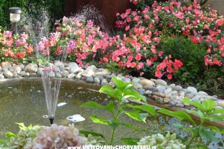 Appartementen Gojka Miočević foto 4