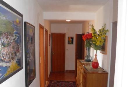 Appartementen Peran foto 5