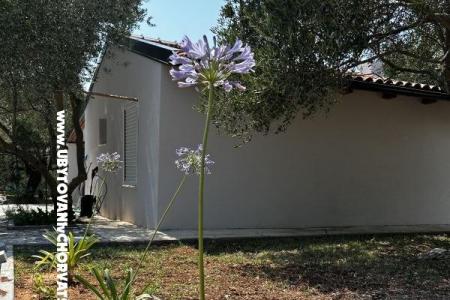 Primorje – Biograd Kroatië