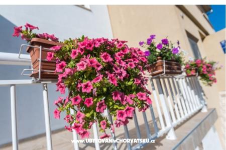 Appartementen Galeb foto 3