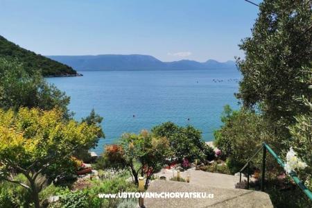Appartementen Maja Blace Kroatië