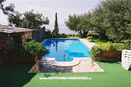 Huis Pipinic foto 3