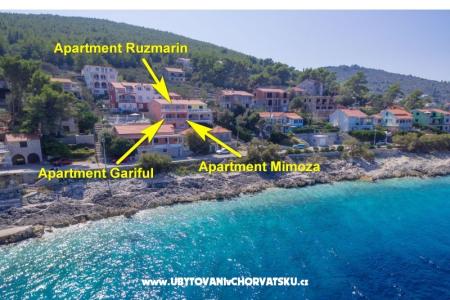 Appartementen Andrijic foto 4