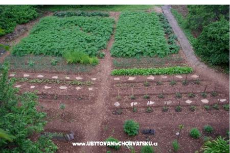 Appartement Srdjana foto 5