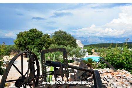 Huis Sweet Dreams foto 5