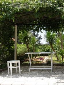 Summer Huis at St.Nicholas foto 3