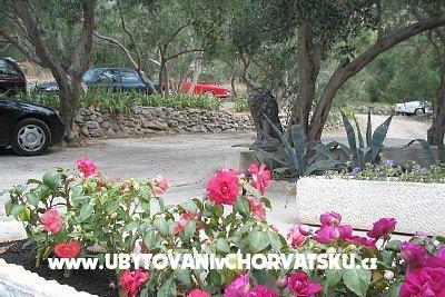 Appartementen Nada Mustapić foto 3