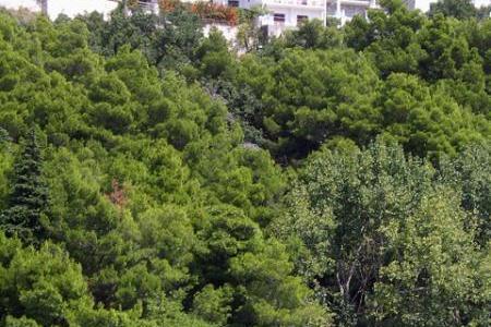 Appartementen Nela foto 5