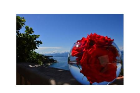 Appartementen Perla Brela Kroatië