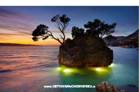 Appartementen Perla foto 3