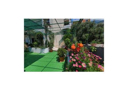 Appartementen Ribičić Brela foto 4