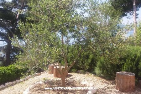 Appartementen Vesna  - Brela foto 5