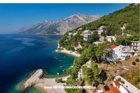 Pine Canopy Studios and Appartementen foto 3