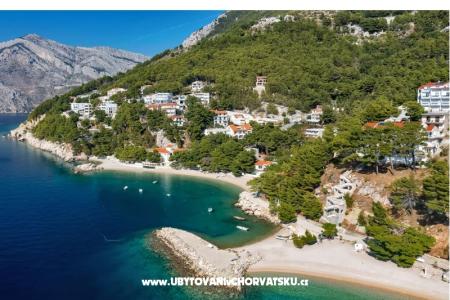 Pine Canopy Studios and Appartementen foto 4