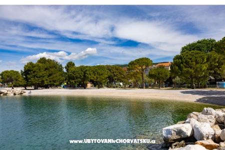 Beach Center foto 4
