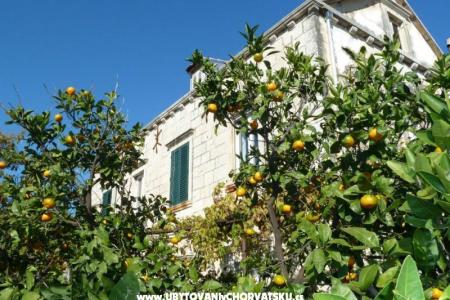 Appartementen Mir Dubrovnik foto 2