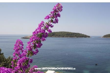Appartementen Rašica foto 5