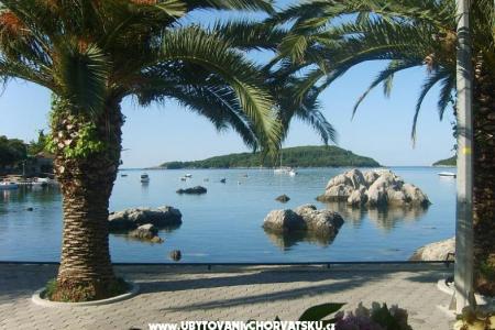 Appartementen Vidak foto 3