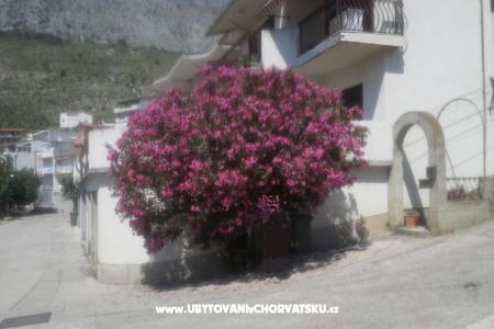 Appartement Pero foto 3