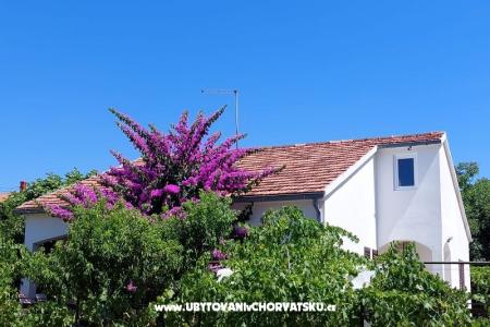 Vakantiehuis - Appartement Milka foto 2