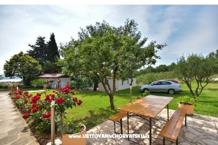 Appartementen Miluška foto 5
