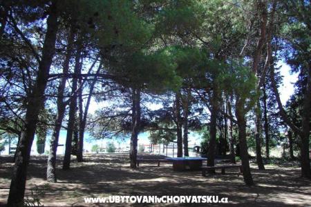 Appartementen PARK foto 5