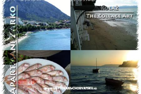 Appartementen Žarko foto 3