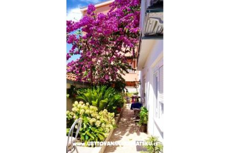 Appartementen Jerković Gradac foto 5