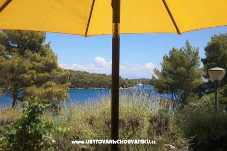 Appartementen Stipišić foto 2