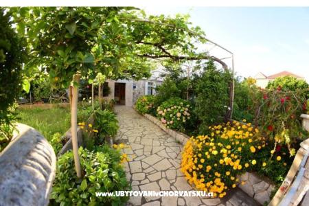 Appartementen  Mate Slavic eiland Hvar Kroatië