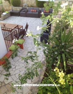 Guesthouse M Dvoshko foto 3
