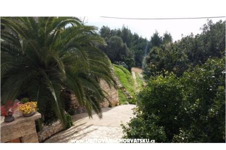 Vakantiehuis Rubinić foto 4