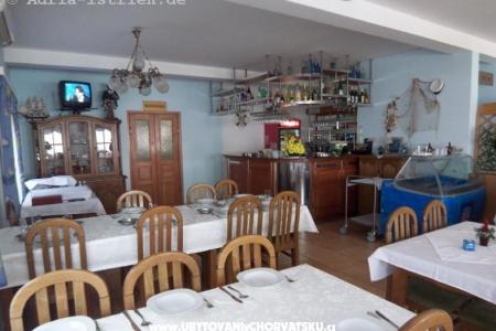 Appartementen Delfin foto 5