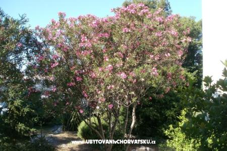 Appartementen Grgin foto 4