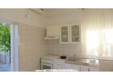 Zvijezda mora foto 3