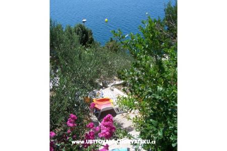 Appartementen Mediterraneo foto 2