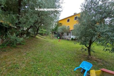 Appartementen Fides foto 4