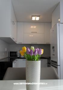 Appartement ARIA foto 3