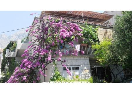Appartementen KATE Makarska Kroatië