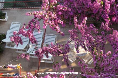 Appartementen Kruno foto 4