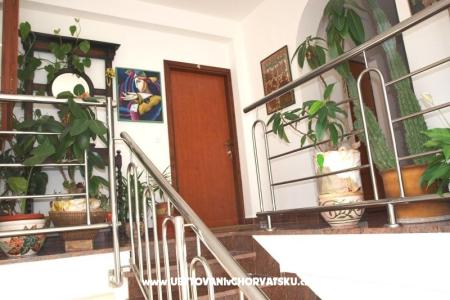Appartementen Mihić foto 5