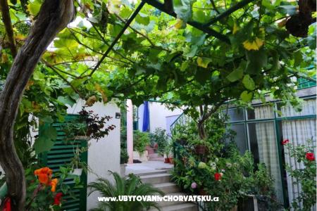 Appartementen Vinea foto 2