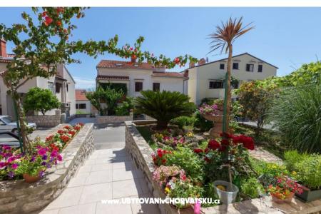 Appartementen Avvi Mali Losinj Kroatië