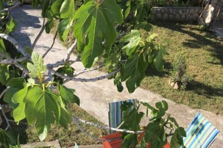 Casa di Castello foto 3