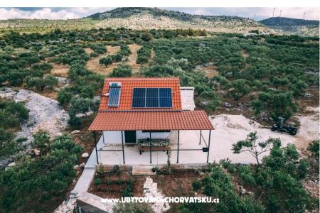 Green Huis (Dogs are welcome) foto 3